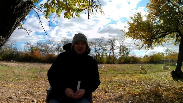 Злословие как яд