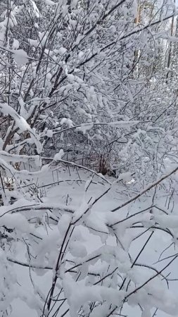1000039841.mp4