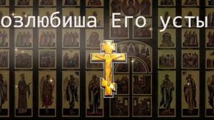 Обратно к врагу уйдут все его проклятья псалом 77