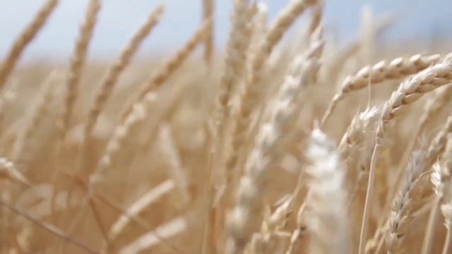 🔴#Євхаристія — споживати тіло Христа