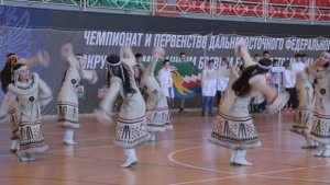 ГАКАТ Мэнго - Чайки