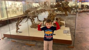 Палеонтологический музей в Москве / КУЧА ОГРОМНЫХ ДИНОЗАВРОВ