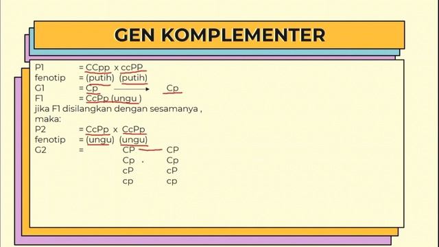 MATERI BIOLOGI KELAS XII (GEN KOMPLEMENTER DAN KUMULATIF)