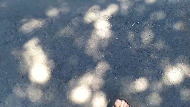 1 влооог (топ) х смотреть онлайн