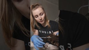 Пересаживала Стрелицию Регину , которая решила портить листья. Ревизия корней и пересадка.