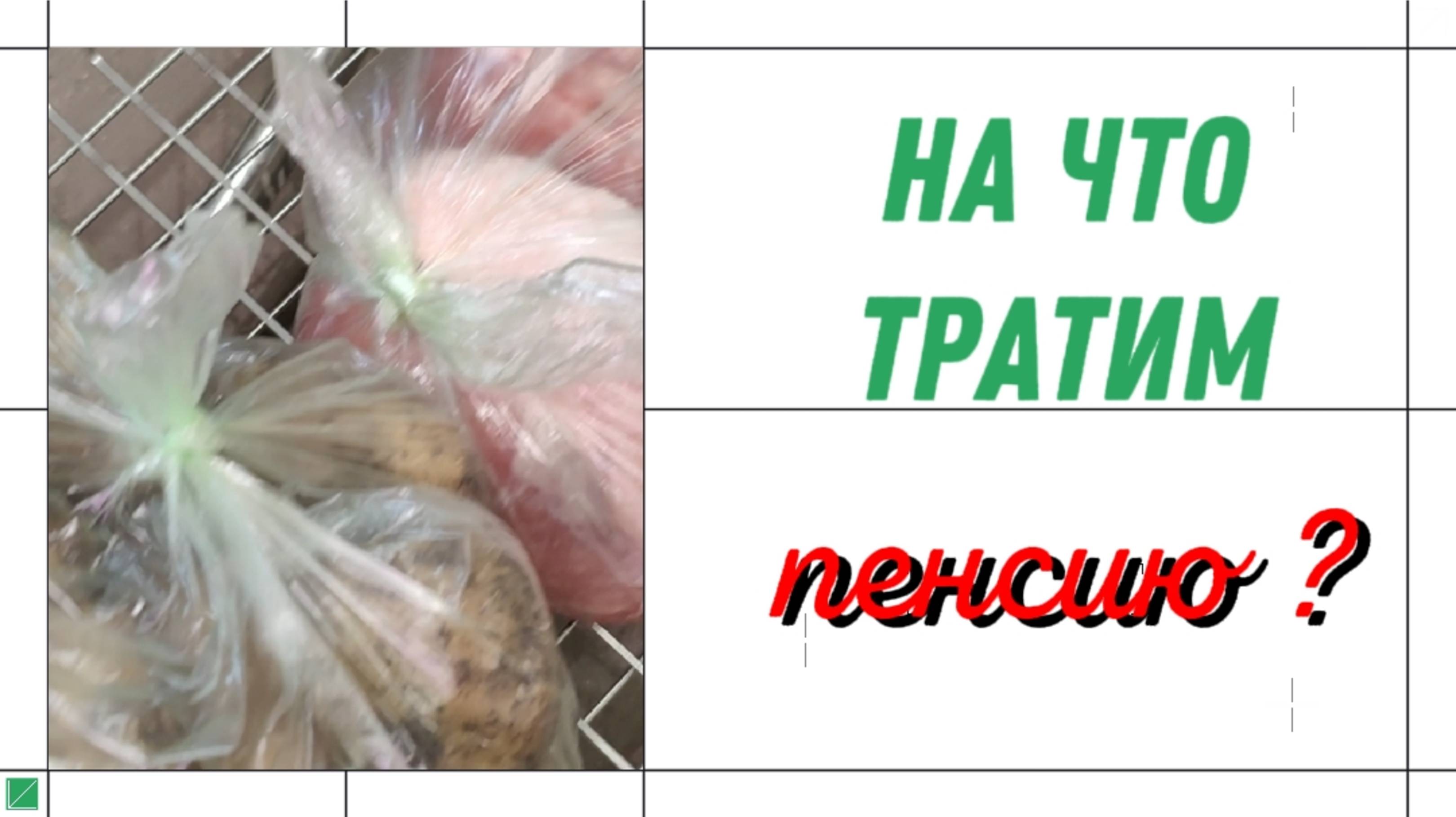 КАКИЕ ПРОДУКТЫ ПОКУПАЕМ НА ПЕНСИЮ?