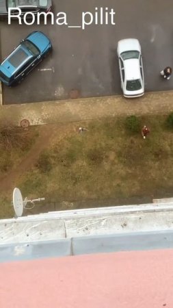 #птица #вор #ключиотмашины #прикол #топ #животные #юмор #смех