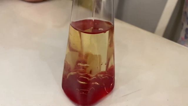 Новогодний Адвент 2021: 10 декабря смотреть онлайн