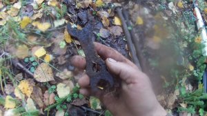 Удивительные находки в лесу. По следам лесорубов.