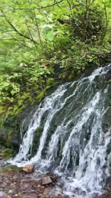 سياحة في صربيا смотреть онлайн