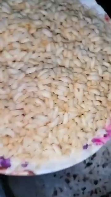 #home made protien rich powder for growth and development