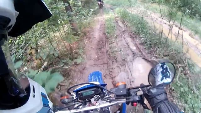 В окрестностях Звенигорода смотреть онлайн