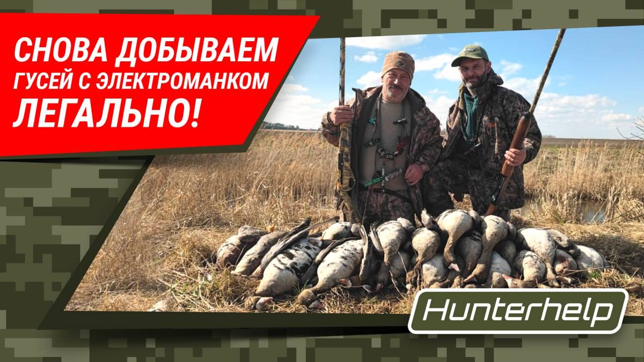 Охота на гусей с электроманком #охотанагуся #весенняяохота #ОхотавРБ #фанатгусятник #Сидоров #охота