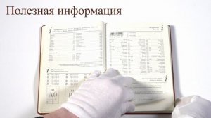 Ежедневник Bruno Visconti Classic А5 3-689