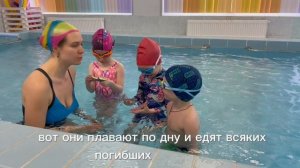 Занятие по плаванию в детском саду 3 года, 4 года, 5 лет. Дошкольное плавание открытый урок