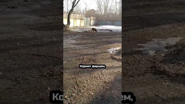 На страже порядка и безопасности! | Кира