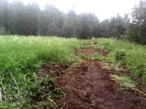 Поиск монет. Накопал металлолома.