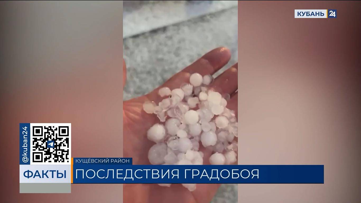Сельхозпредприятия и ферма пострадали из-за града в Кущевском районе