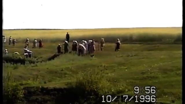 Жители КОШКИ смотреть онлайн