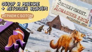 Эксперимент. Домашние лисы 🦊 настольная игра: обзор, летсплей, дуэльный режим, мнение