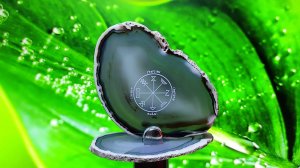 Финансовый успех (экз. № 1)