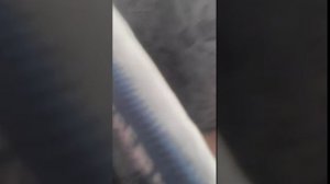 стрим в школе