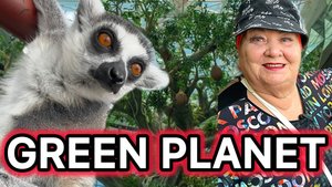 The Green Planet Дубай! Лучший зоопарк Грин Планет!