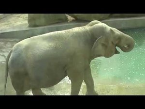 Путешествие в Геленджик 23.09.2018г