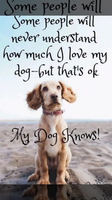 5 quotes about dogs|Heart melting quotes