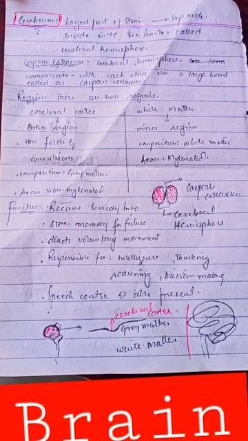 #CNS | #Brain | #Forebrain | #cerebrum | #Biology #Anatomy