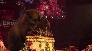 «Пять континентов»:
«Королевский цирк» Гии Эрадзе