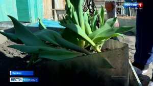 Дачный сезон начался в этом году раньше обычного