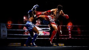 muay thai night