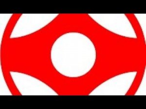 Просто тренировка киокушинкай каратэ