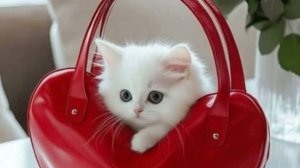 Доброе Утро!!! Яркого Дня!!!  Радостных Событий!!!!