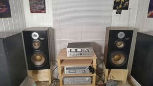 акустика Diatone DS 900ex