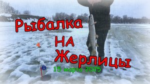 Рыбалка на жерлицы,  закрываем зимний сезон рыбалки с сыном