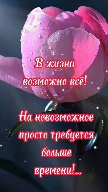 Статусы про жизнь. #статусы #прожизнь