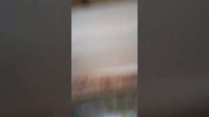 Как вызвать сиреноголового #2