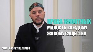 Права животных | Милость каждому живому существу