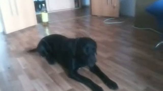 скажи мама смотреть онлайн