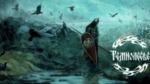 Темнолесье. О поле.