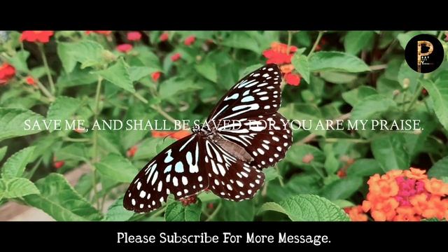 11:11Angels Says Know This Before 3 December God Message BlessingsUniverse Message#angles