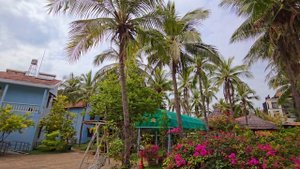 отель Palmira Beach Resort, Phan Thiet , Вьетнам.mp4