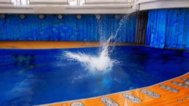 Felix Hirt - Highlight Reel смотреть онлайн