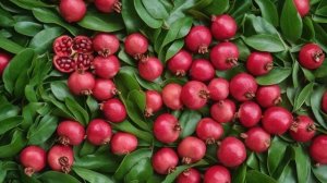 Гранат — польза и вред для здоровья фрукта и его косточек - Деревья