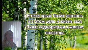 В тени крыл Твоих укроюсь