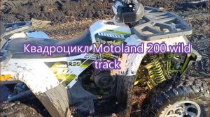 Мой Квадроцикл Motoland 200 wild track для поездок в лес, на охоту и рыбалку.
