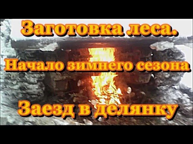 Заготовка леса, начало зимнего сезона.  Заезд в делянку.