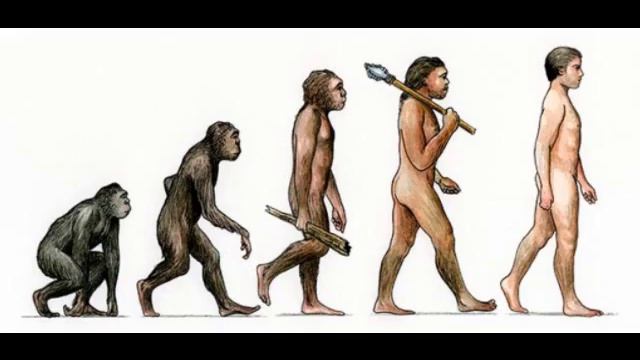 The Golden Calf of Evolution смотреть онлайн